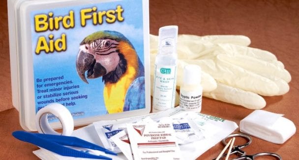 Parrot First Aid Kit A Checklist Of Must Haves Birds Coo