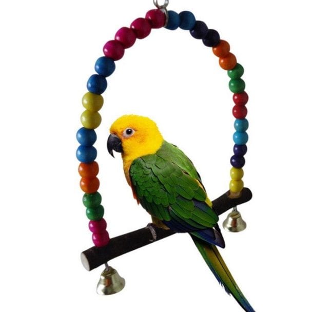 10 Important Parrots Supplies You Need Birds Coo