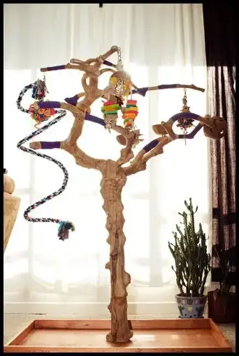 8 Must Try Diy Bird Tree Stand Ideas Birds Coo - Diy Parrot Perch Stand