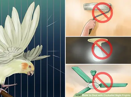 How to Avoid Cockatiel Night Frights