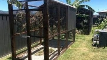How to Build Your Own Parrot Aviaries