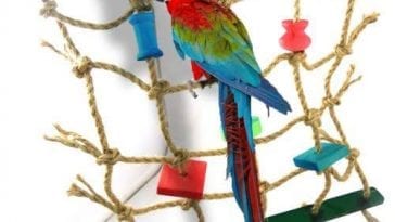 Easy to Make DIY Parrot Climbing Net