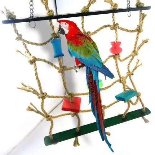 Easy to Make DIY Parrot Climbing Net