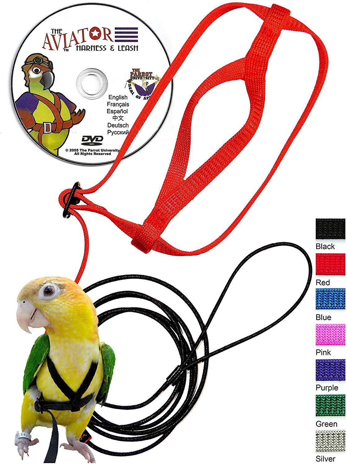 The Convenience of Having a Bird Leash Birds Coo