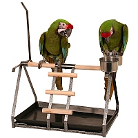 Description: Image result for Other Types of Portable Bird Stands