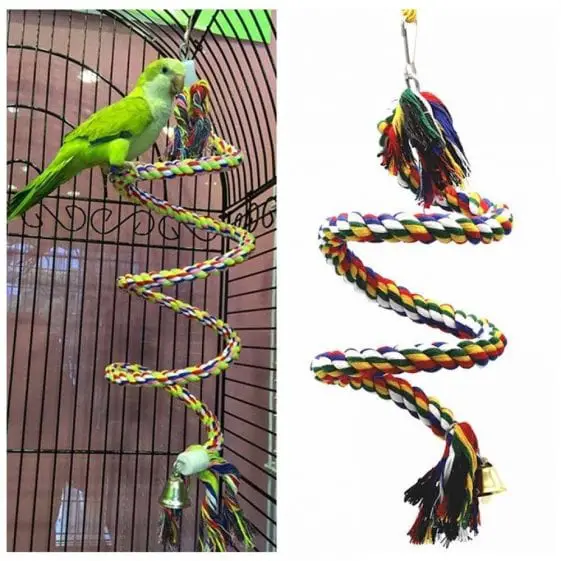 List of Dangerous Parrot Accessories You Shouldn't Have in Your Bird
