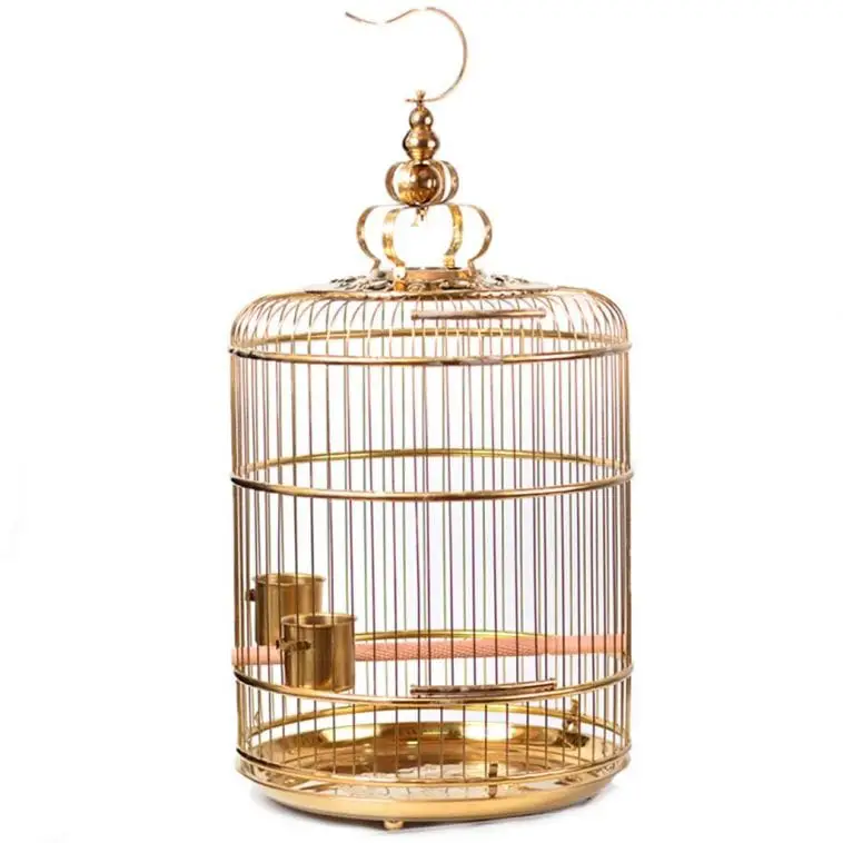 Where to Buy Round Cages For Your Pet Birds Birds Coo