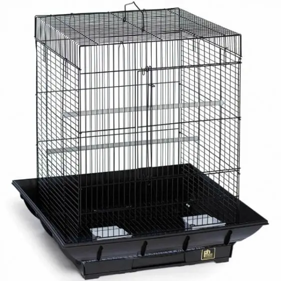 Where to Buy Your 18x18x18 Bird Cage Birds Coo