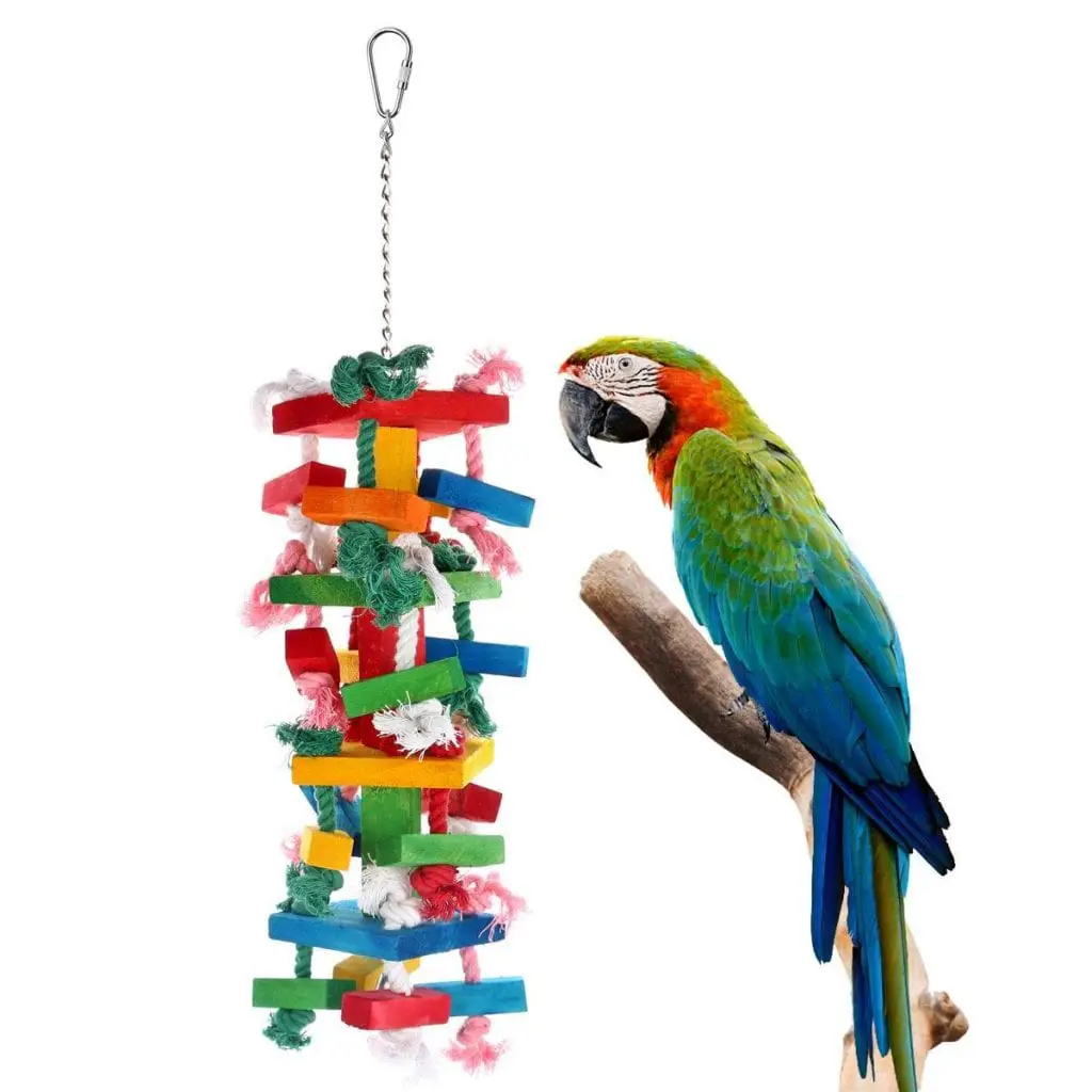 Description: Image result for parrot toys