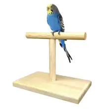 Description: Image result for wood portable bird stands
