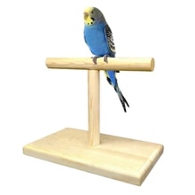 Description: Image result for wood portable bird stands